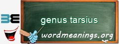 WordMeaning blackboard for genus tarsius